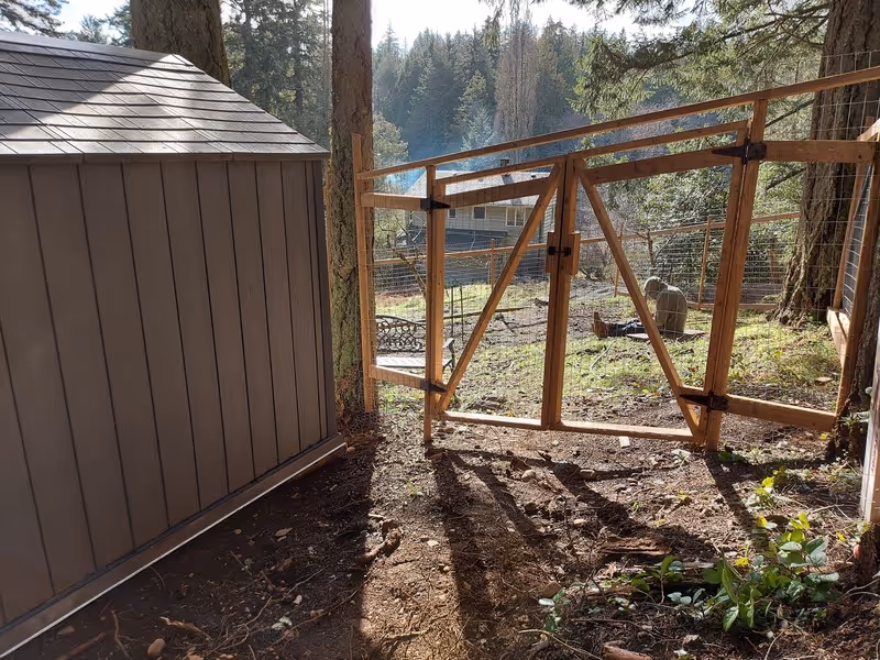 Wooden barn fence gate beside a shed in a forested yard