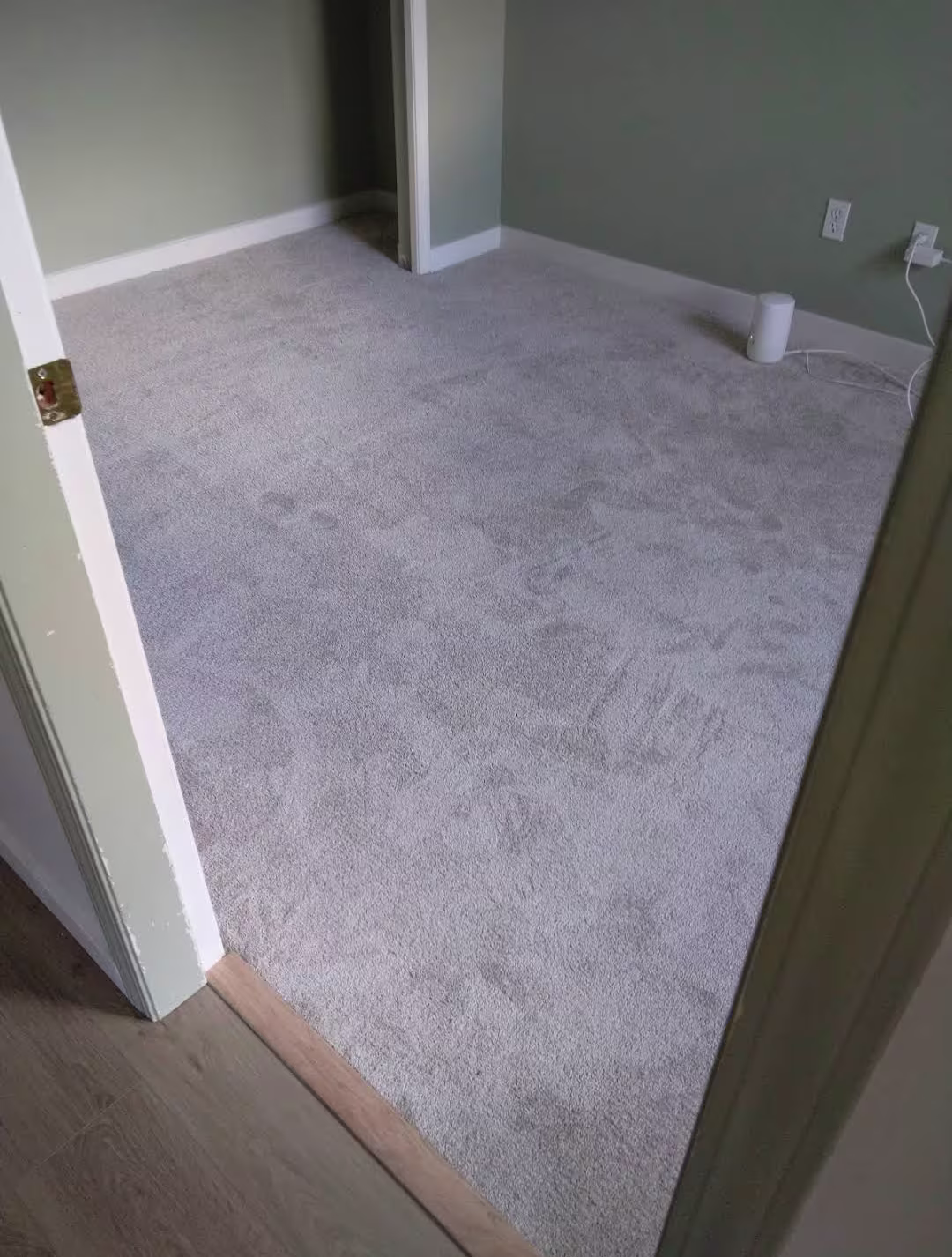 Light gray carpet flooring in a bedroom with green walls and a doorway transition from wood to carpet.